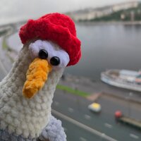 Катрин Жу